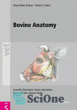 دانلود کتاب Bovine Anatomy: An Illustrated Text – آناتومی گاو: متن مصور ...